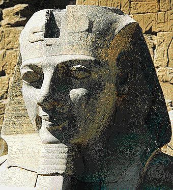 ramsesii 48.8K