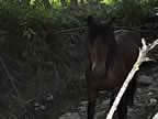 113-1389_IMG.jpg (90,718 bytes)