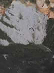 114-1428_IMG.jpg (101,822 bytes)