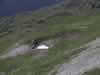 122-2270_IMG.jpg (37,052 bytes)