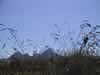 122-2271_IMG.jpg (31,226 bytes)