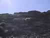 122-2283_IMG.jpg (23,382 bytes)