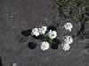 123-2313_IMG.jpg (55,589 bytes)